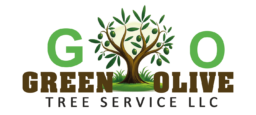 Green Olive Tree Service llc  in Vancouver, WA 98661 (360) 356-6562