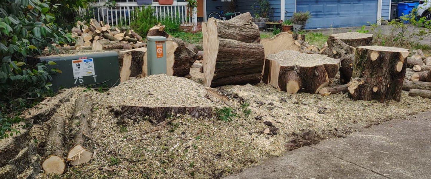 WhatsApp Image 2025-12-27 at 4.08.36 PM