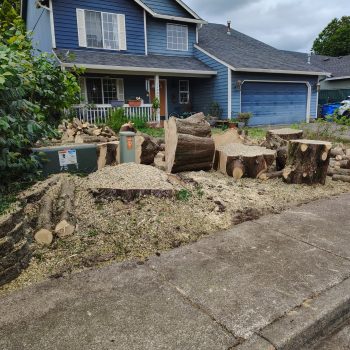 WhatsApp Image 2025-12-27 at 4.08.36 PM