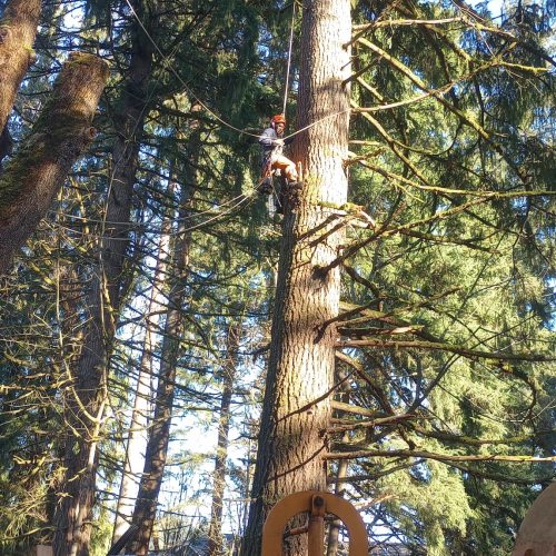 WhatsApp Image 2025-12-27 at 4.15.28 PM (1)